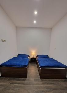 Postel nebo postele na pokoji v ubytování Martin Ferienhaus