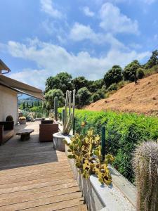 a wooden deck with cactuses and a bench on a hill at Villa Paradiso by Monarca Prestige in Furiani