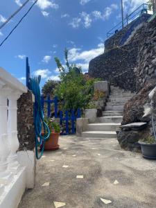 a set of stairs with a blue fence and plants at Apartamento Puerto Estaca 1 in Valverde