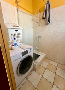 a washing machine in a bathroom with a shower at JSG Locations in Sainte-Anne