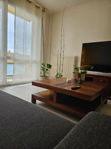 TV a/nebo společenská místnost v ubytování Apartement T2