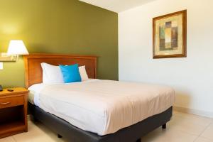 a bedroom with a large bed with blue pillows at Baja Inn Hoteles La Mesa in Tijuana