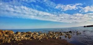a bunch of birds in the water on a beach at La Dimora di Patty in San Cataldo