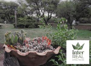 Zahrada ubytování cabañas Gerom