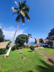 Κήπος έξω από το Hotel San Pedro de Taboga