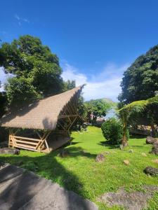 Κήπος έξω από το Hotel San Pedro de Taboga