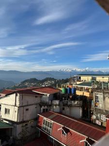 Naturlandskabet i nærheden af lejligheden