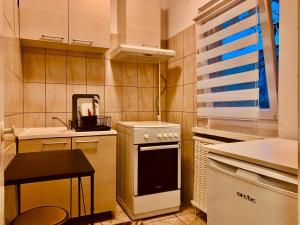 a small kitchen with a stove and a sink at Studio Modest in Craiova