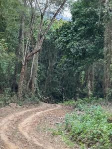 Phong cảnh thiên nhiên gần nhà gỗ