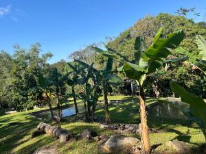 Vườn quanh Sítio da Sara com água mineral, rio e muito verde