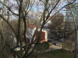 a building under construction in a city with trees at Casa del Cervo in Chişinău