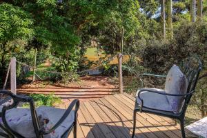 Κήπος έξω από το Quinta do Vale - Casa de Boneca: Piscina, lago, caiaque, cascata