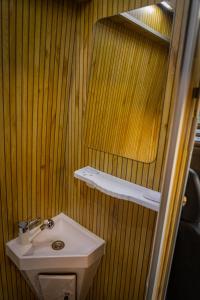 a bathroom with a sink and a mirror at Gogo vans home on wheels in Kriva Palanka