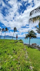 Naturlandskabet i nærheden af lodgen