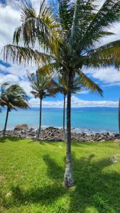 Naturlandskabet i nærheden af lodgen