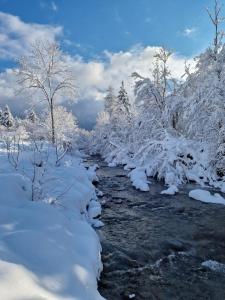 Gallery image of Max River Chalet in Porumbacu de Sus