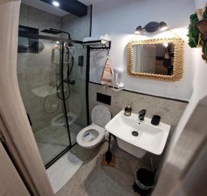 ein Badezimmer mit Dusche, Toilette und Waschbecken in der Unterkunft Max River Chalet in Porumbacu de Sus + 27 Fotos