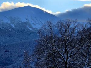 a snow covered mountain with a tree in the foreground at Zacisze w Karkonoszach in Karpacz +29 photos