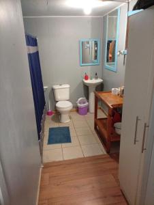 PuqueldónにあるHospedaje Hueñocoのトイレと洗面台のあるバスルーム +12枚の写真