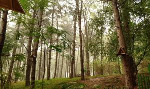 Φυσικό τοπίο κοντά σε αυτό το διαμέρισμα