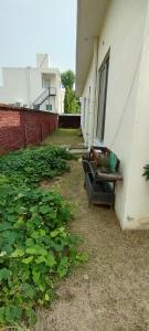 Κήπος έξω από το Peace farm