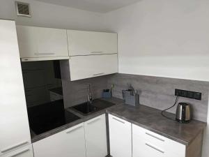 Kuchyň nebo kuchyňský kout v ubytování Słoneczny Apartament