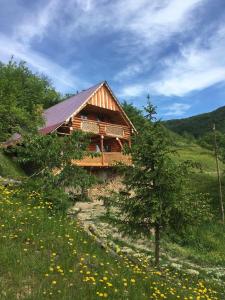 Φωτογραφία από το άλμπουμ του Садиба Ярок σε Vyshka