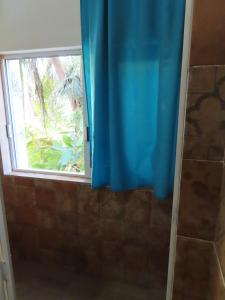 a shower with a blue curtain and a window at Hostal Axlan in Puerto Escondido +32 photos