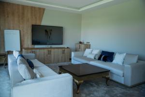 Et tv og/eller underholdning på Didi Hotel Sapanca