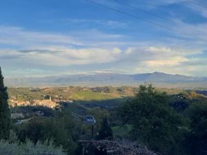 Un paisaje natural cerca del departamento