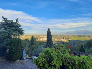Un paisaje natural cerca del departamento