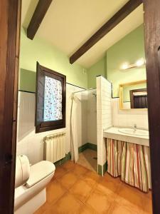 ein Badezimmer mit Toilette und Waschbecken in der Unterkunft Apartahotel Valle de Rodellar in Rodellar