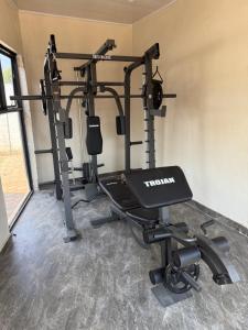 Centrul de fitness și/sau facilități de fitness de la Avondale Villa