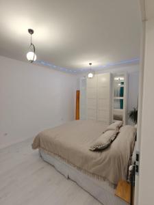 Fotografie z fotogalerie ubytování Home Ready v destinaci Sibiu