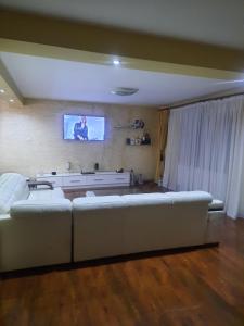 ein Wohnzimmer mit Couch und Flachbildfernseher in der Unterkunft AlexandraMihai in Craiova