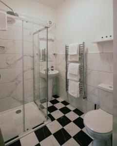 ディングルにあるAdams Townhouseのシャワー、トイレ、洗面台を備えたバスルーム