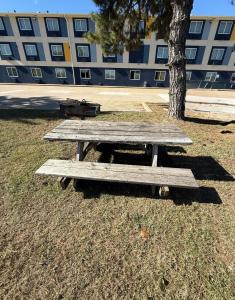 a picnic table in the grass next to a tree at Quality Inn Ponca City in Ponca City