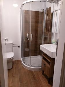 ein Badezimmer mit Dusche, Toilette und Waschbecken in der Unterkunft Jagodina studio CRNJANSKI in Jagodina + 4 Fotos