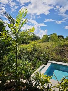 a palm tree next to a swimming pool at Kalma - 2 Bedroom Villa with Private Pool in Santander +8 photos
