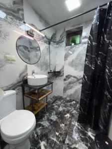 un bagno con un water e un lavandino di David guest house LOFT Коттеджи на берегу реки a Dilijan