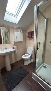 弗格拉什Transylvania Guest House的浴室里有马桶、洗手池和淋浴。