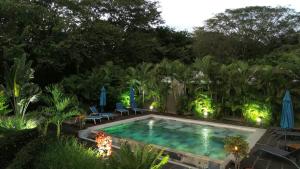 Πισίνα στο ή κοντά στο Tee-K Lodge Tamarindo