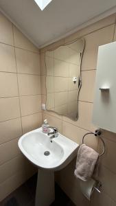 弗格拉什Transylvania Guest House的浴室里有洗手池和镜子 更多22张照片