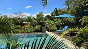 塔马林多Tee-K Lodge Tamarindo的一个带椅子和遮阳伞的游泳池