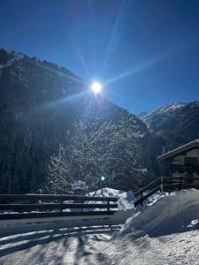 圣安东阿尔贝格Apart Dorr的阳光照耀着一座白雪皑皑的山峰，山上有一棵树。
