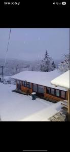 Το PRENOCiSTE SARA τον χειμώνα