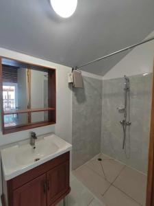 Ένα μπάνιο στο Mape Faaroa Bay Villa +18 φωτογραφίες