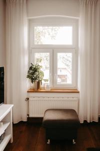 Fotografie z fotogalerie ubytování Alte Molkerei v destinaci Schadeland