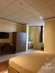 克雷塔罗Hotel San Rafael的一间带床和厨房的大房间