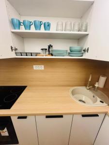 encimera de cocina con fregadero y estanterías en Studio Lumiere Timișoara, en Timisoara